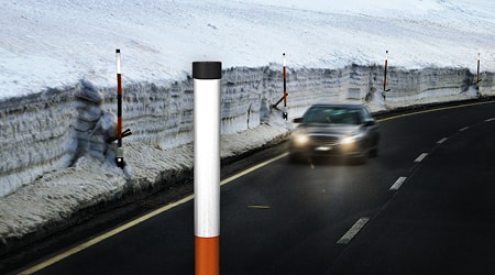snowsticks